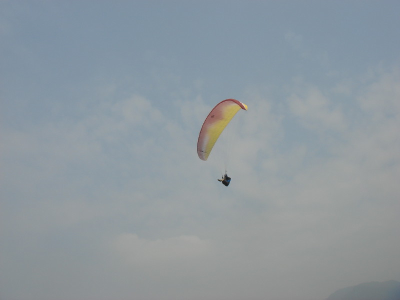 img0019.jpg