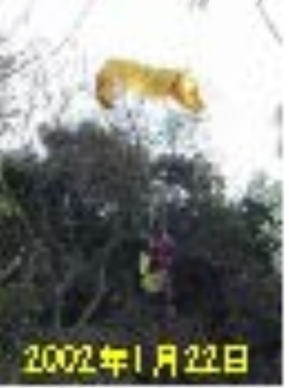 img0020.jpg