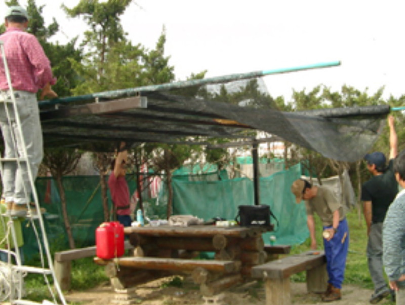 img0029.jpg