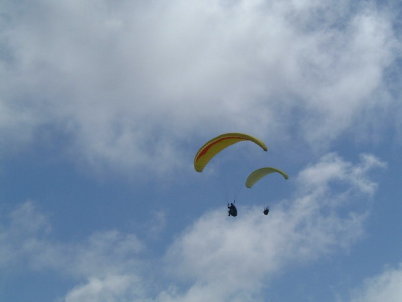 img0037.jpg
