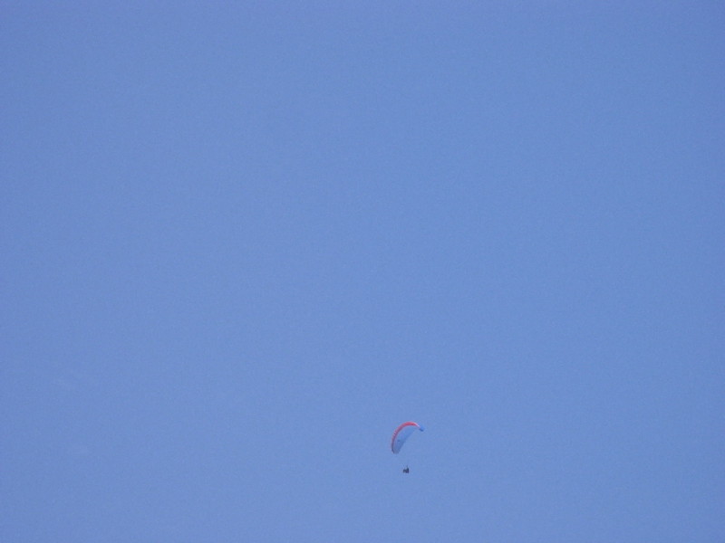 img0221.jpg
