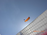 img0015.jpg