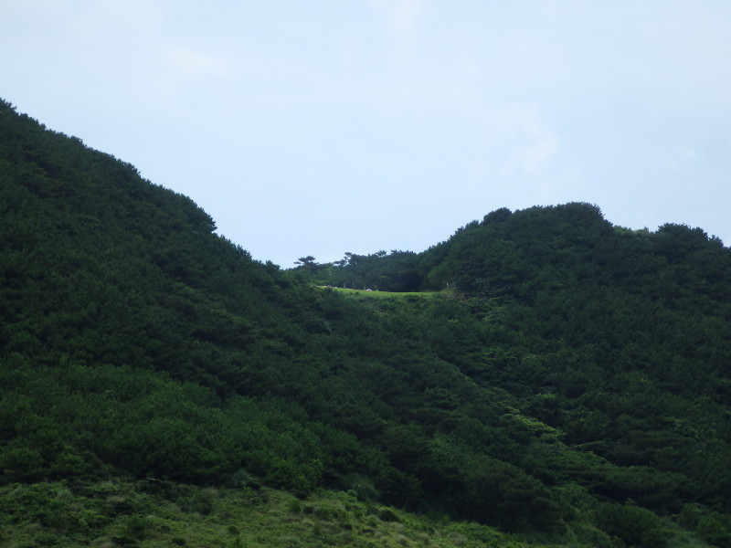 img0126.jpg