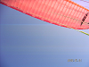 PICT0306_thumb.png