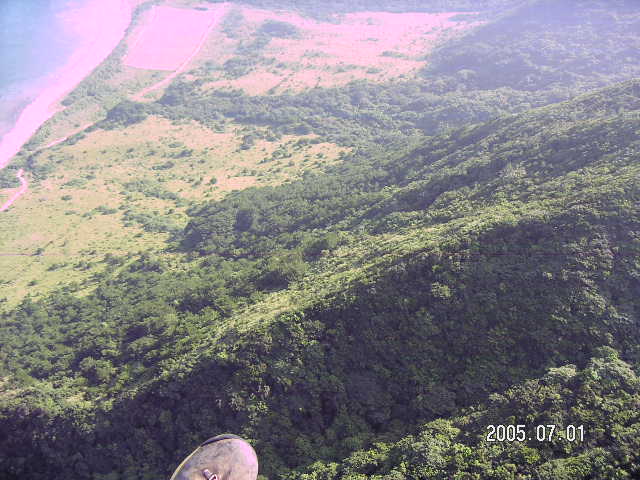 PICT0311.JPG