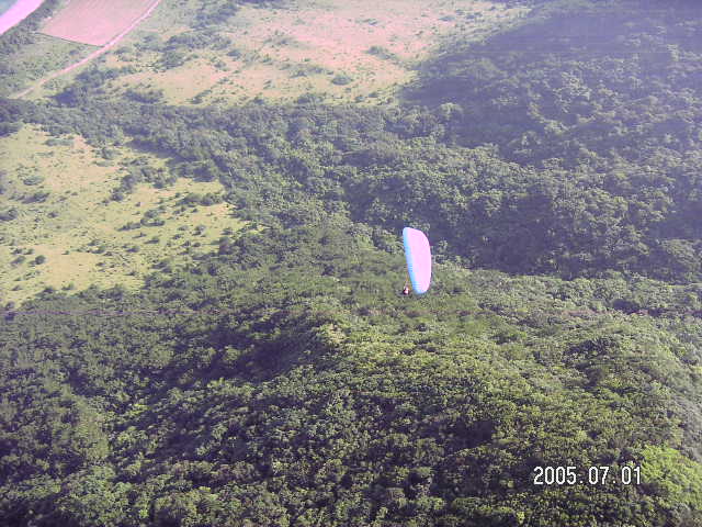 PICT0317.JPG