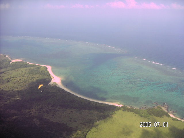 PICT0336.JPG