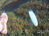 PICT0347_thumb.png