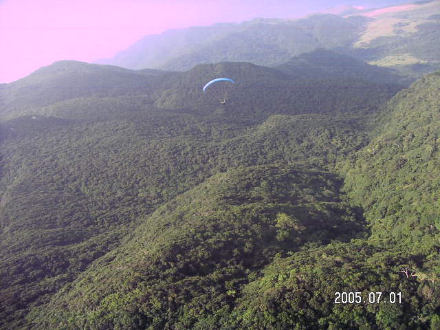 PICT0349.JPG