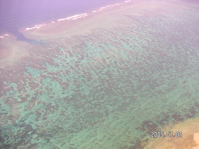 PICT0354.JPG