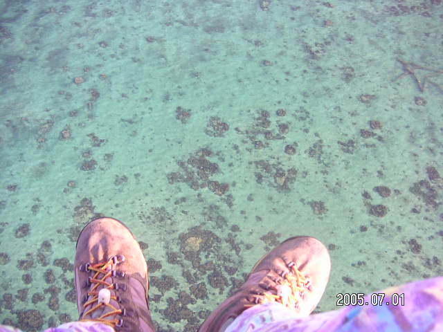 PICT0394.JPG
