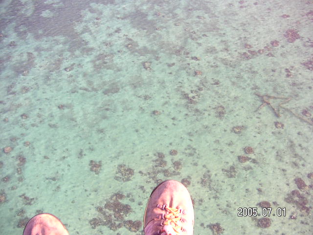 PICT0395.JPG