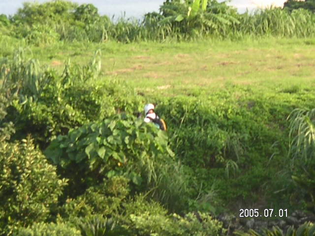 PICT0416.JPG