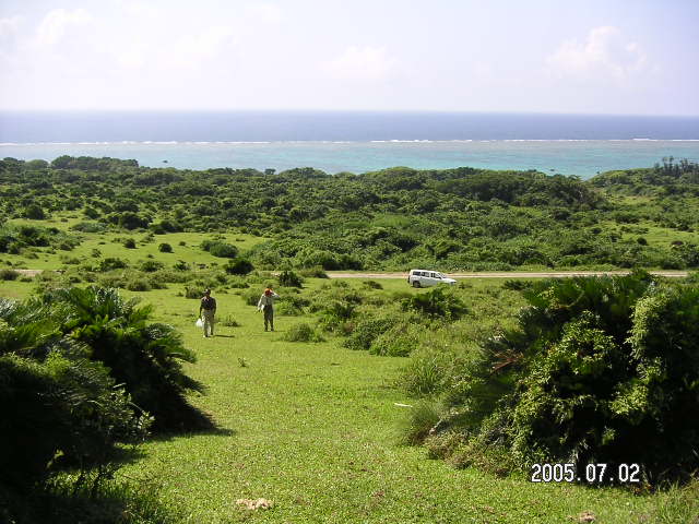 PICT0438.JPG