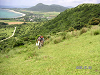 PICT0441_thumb.png