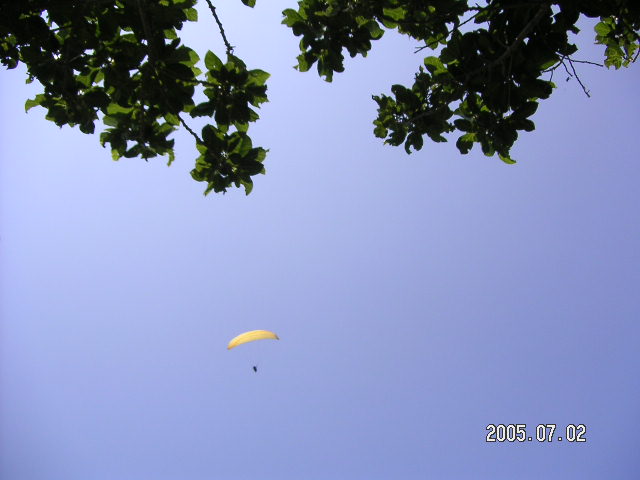 PICT0447.JPG
