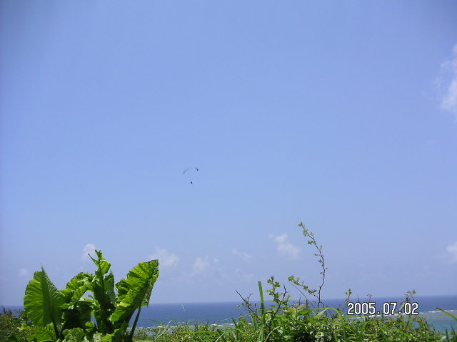 PICT0460.JPG