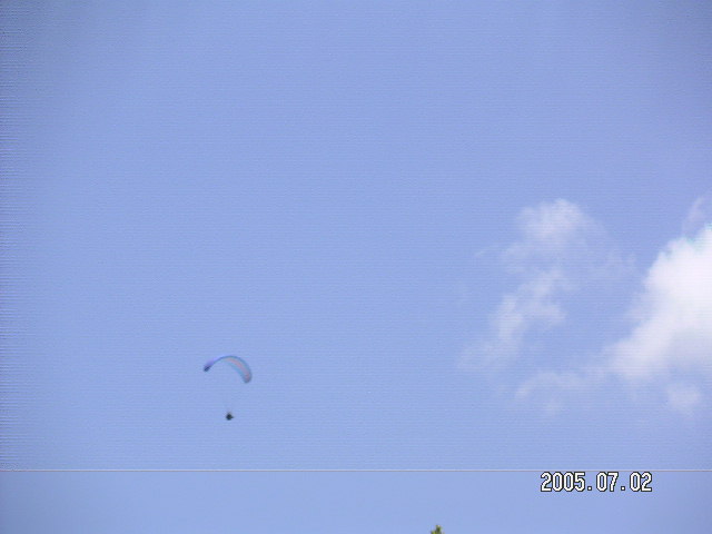 PICT0461.JPG