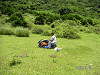PICT0475_thumb.png