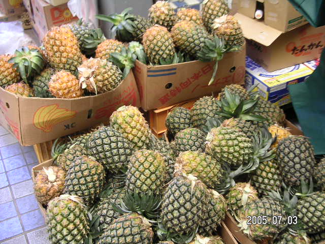 PICT0545.JPG