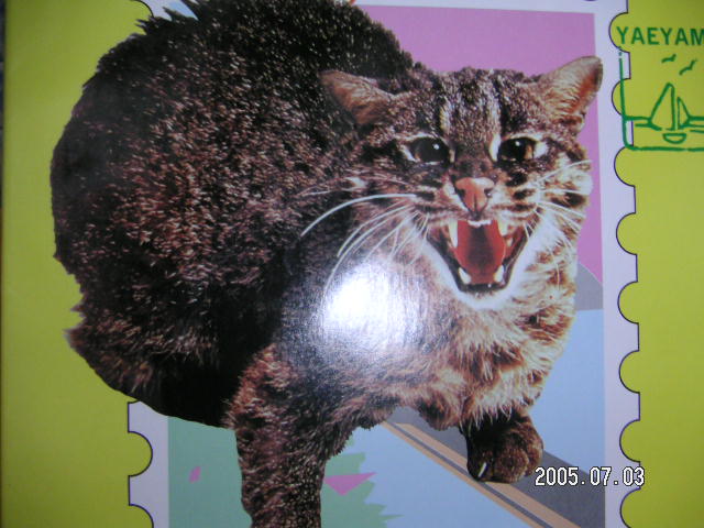 PICT0547.JPG