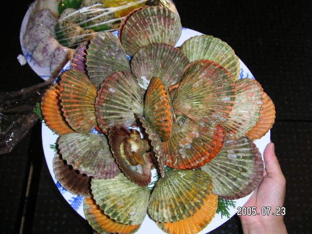 img0018.jpg
