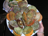 img0018.jpg
