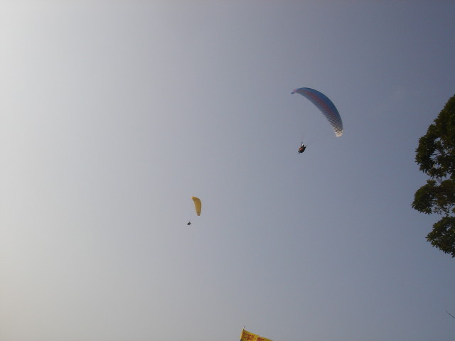 img0010.jpg