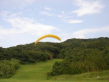 img0002.jpg