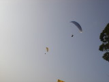 img0010.jpg
