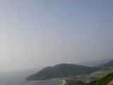 img0011.jpg