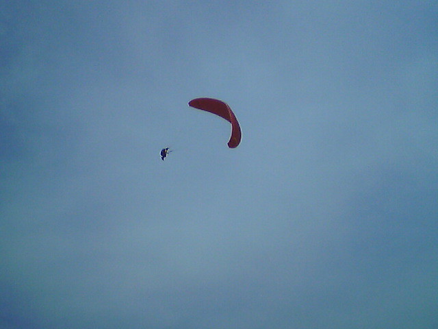 img0003.jpg