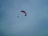 img0003.jpg