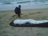 img0007.jpg