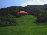 img0009.jpg