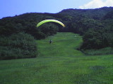 img0010.jpg