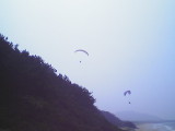 img0006.jpg