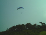 img0008.jpg