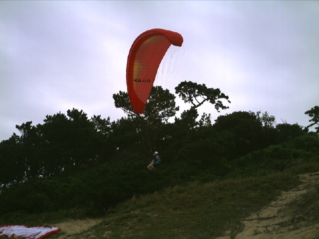 img0007.jpg
