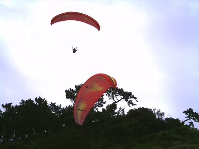 img0008.jpg