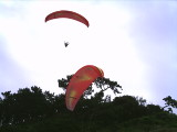 img0008.jpg