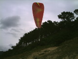 img0009.jpg