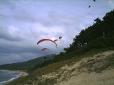 img0015.jpg