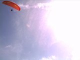 img0017.jpg