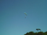 img0010.jpg