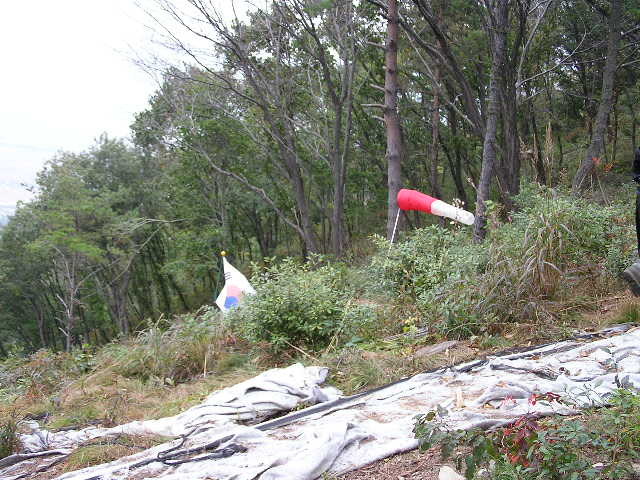 img0008.jpg