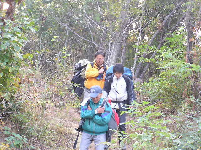 img0018.jpg
