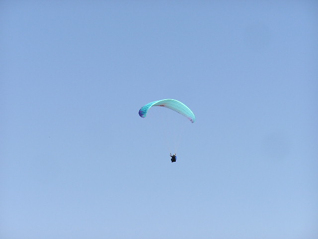 img0061.jpg