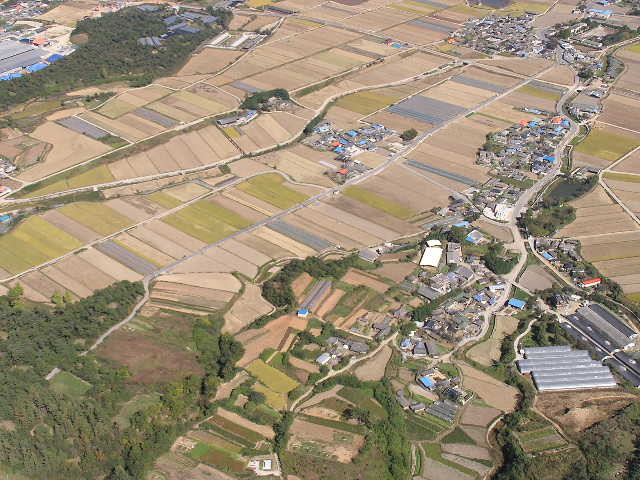 img0062.jpg