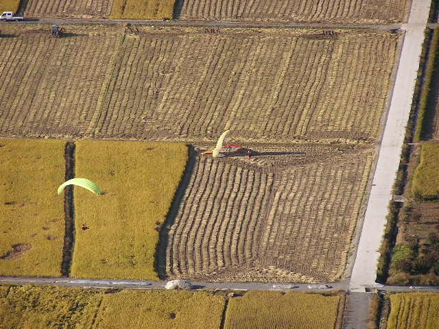 img0098.jpg